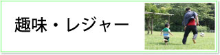 ��E���W���[�J�e�S���[��